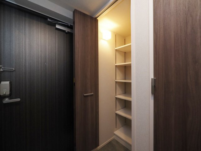 グランセジュール大国町の収納