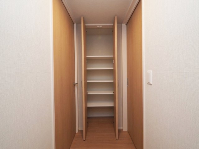 グランセジュール大国町の収納