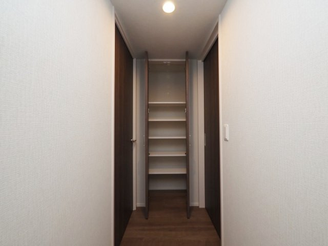 グランセジュール大国町の収納