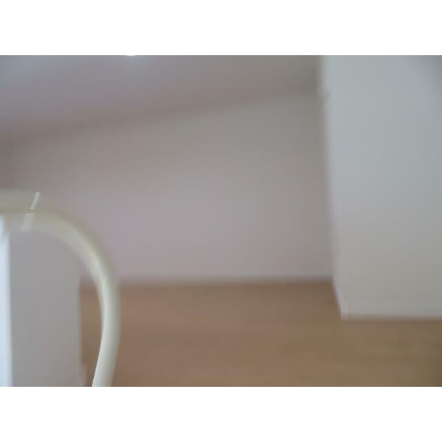 フェリスサイン