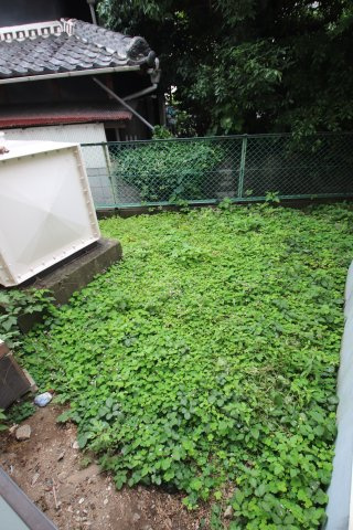 【庭】 | 森井マンション