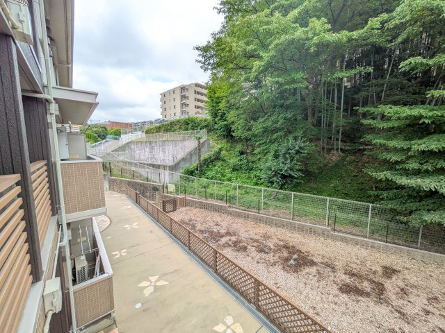 第5コスモスヴィラの展望