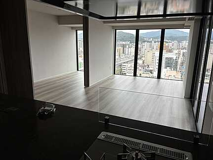 ザ・ライオンズ横川の居間・リビング
