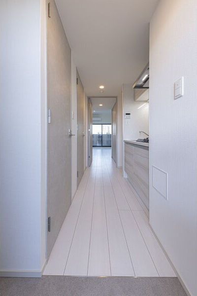 S-RESIDENCE高岳駅前awake(アウェイク)の玄関
