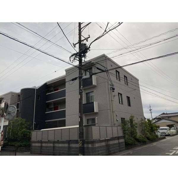 Novelty REYの外観