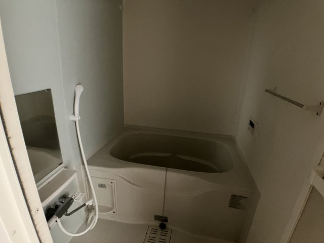 クリスタルレオの浴室