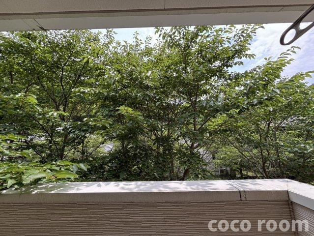 プレジャー　アイの展望