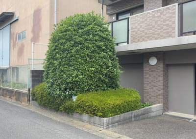 【中庭】 | ライトウェーブ淵野辺本町 | 中庭（パティオ）とは、一つの建築物の内部に設けられた、壁などで囲われている庭のことを指します。コの字型、ロの字型が主流ですが、L字型の中庭もあります。最近では、インテリア性の高さからも人気があります。