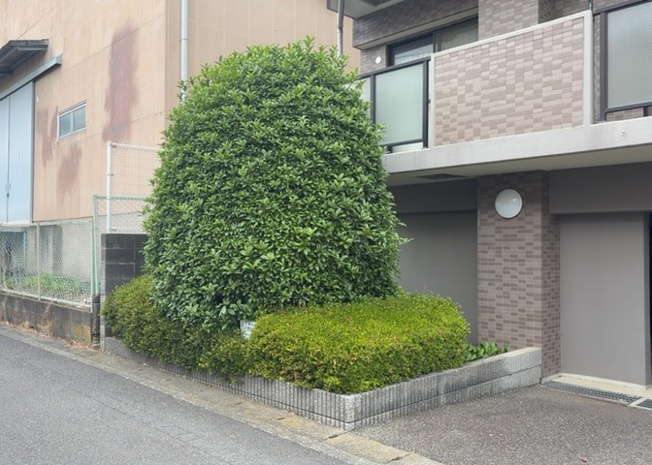 【中庭】 | ライトウェーブ淵野辺本町 | 中庭（パティオ）とは、一つの建築物の内部に設けられた、壁などで囲われている庭のことを指します。コの字型、ロの字型が主流ですが、L字型の中庭もあります。最近では、インテリア性の高さからも人気があります。