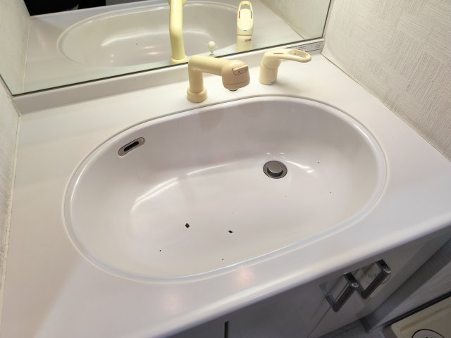 ナイスシティアリーナ新小岩の洗面所