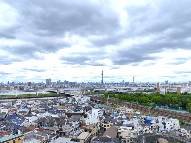 ナイスシティアリーナ新小岩の展望