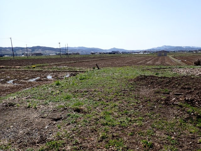 【外観】 | 平川市高木・市街化調整区域・雑種地