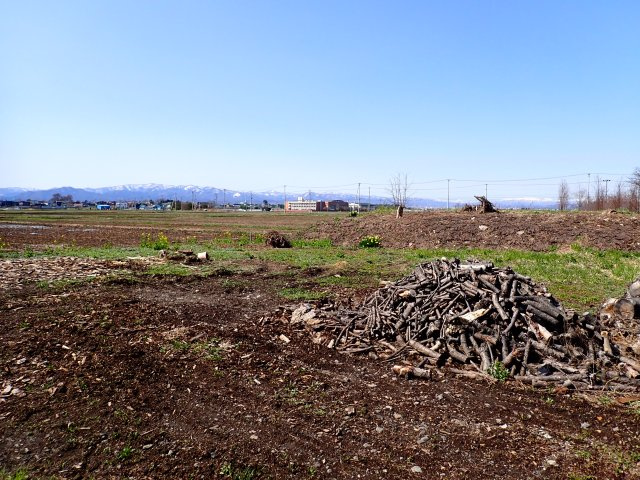 【外観】 | 平川市高木・市街化調整区域・雑種地