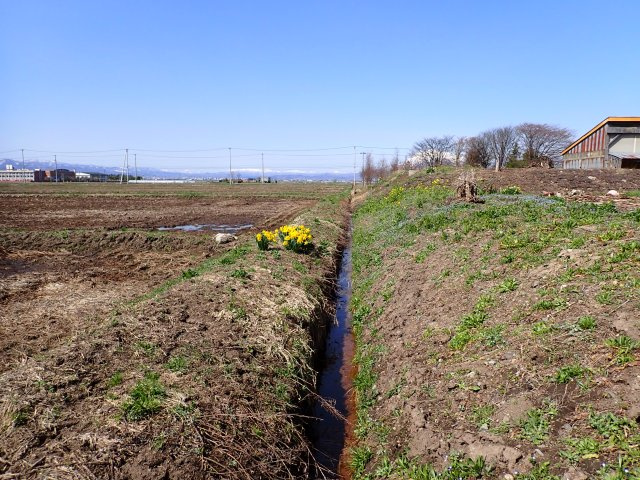 【外観】 | 平川市高木・市街化調整区域・雑種地 | 南側　水路