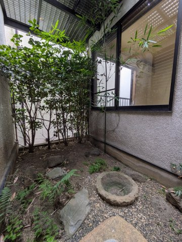 杉並区高井戸西３丁目の庭