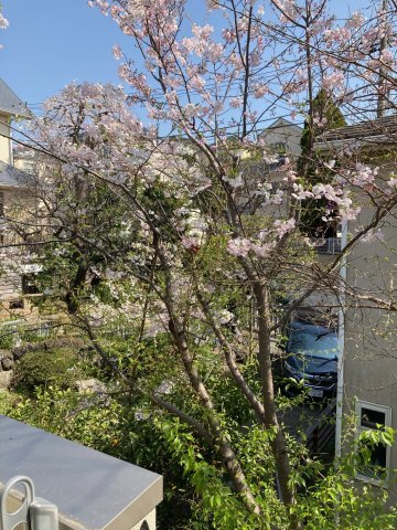 田園調布５丁目テラスハウスの展望