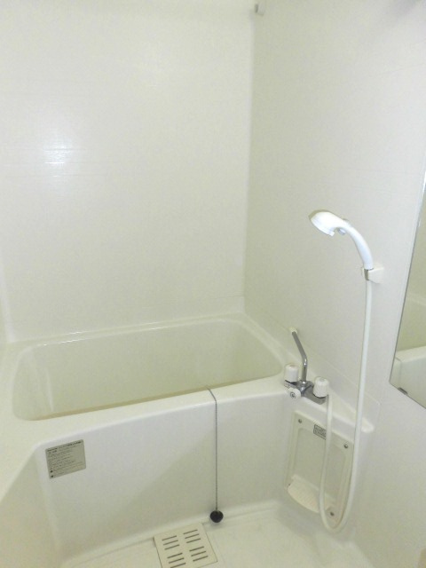 大阪市中央区松屋町住吉の賃貸マンションの浴室