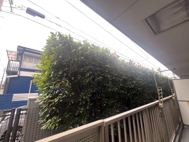 徒に、バス停・サイゼ・スーパー・小中学校歩10分圏内。ほら、駅チカが全てじゃないでしょ？一度楽したらもう後戻りはできないその感覚を私たちが防ぎます！な、【リフォーム／アークハイム東戸塚】の展望