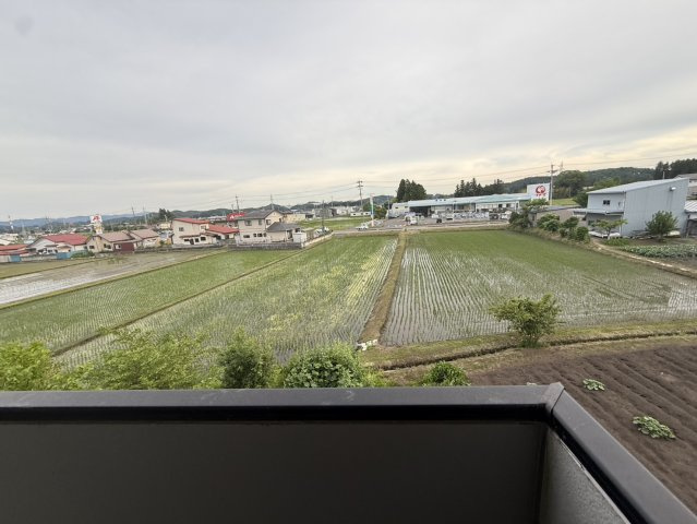 ストークホームⅤの展望
