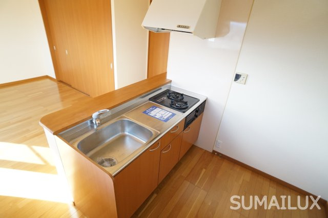 熊本市中央区紺屋今町の賃貸マンションのキッチン