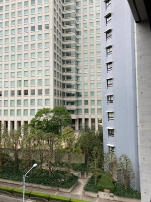 【展望】 | ＴＫＢ高尾稲荷