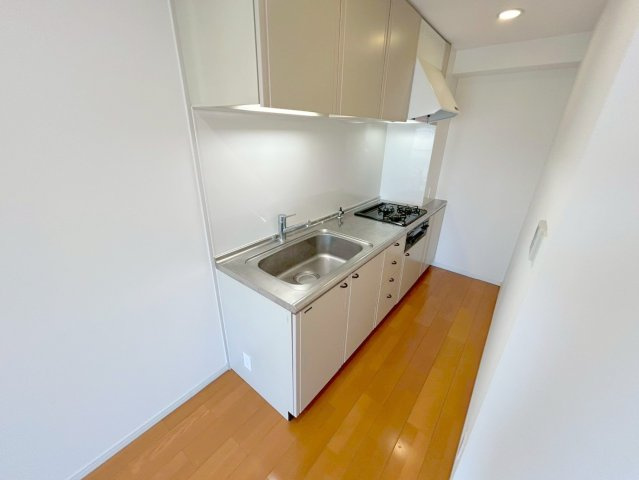 ドミニアムパレス東洋のキッチン