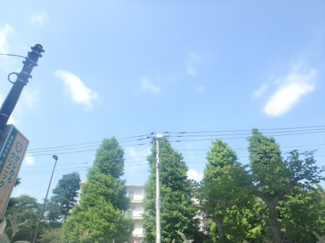 【展望】 | パストラル狛江