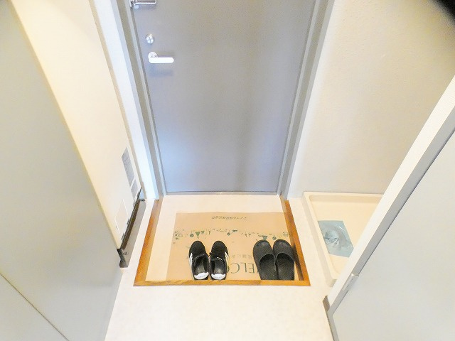 セントラルパークハイツの玄関