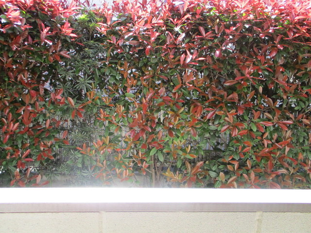 ソレイユ桜丘の展望