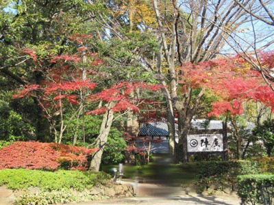 鶴巻温泉 元湯 陣屋 950m