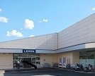 オアシス　レジデンスの周辺|１００えんハウスレモン平和町店まで350m