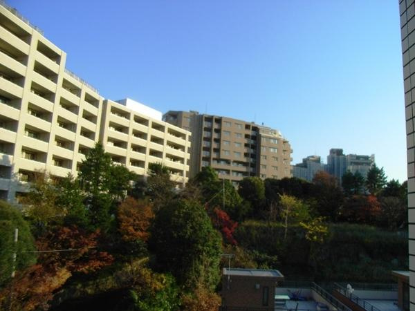【展望】