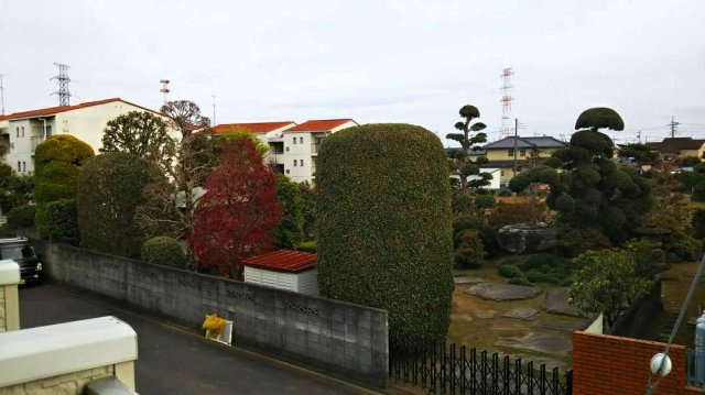 レオネクストサンタのその他