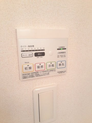 ラピスブレイブのその他