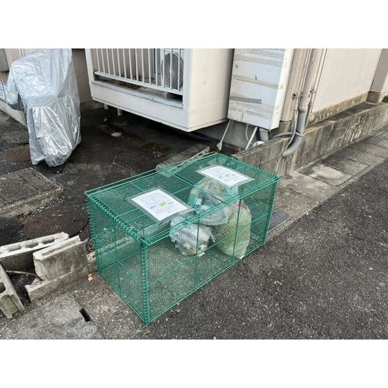 【その他共用部分】 | サンテラス森