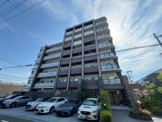 幸court tsukamotoの画像