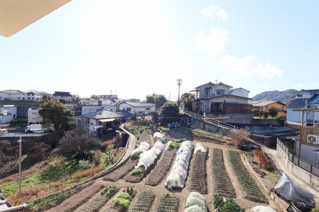 佐々木貸家 の展望