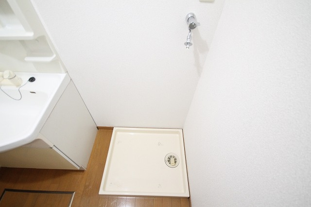 セレノ・あいかのその他