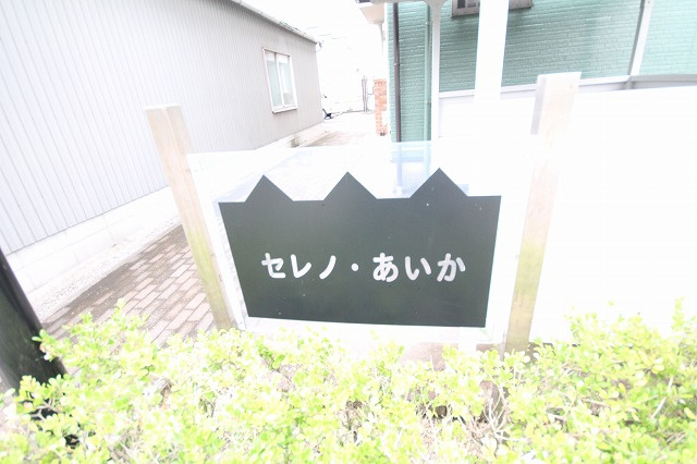 セレノ・あいかのその他