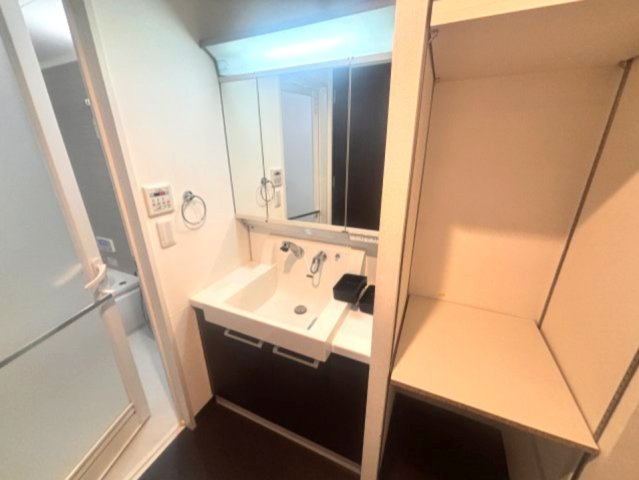 サニープレイス西芦屋　２号館の洗面所