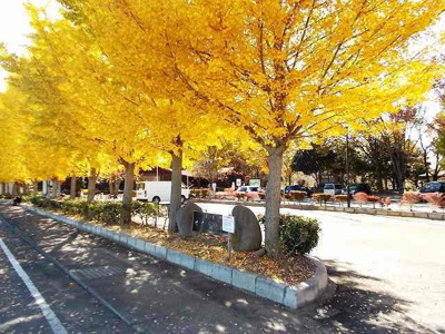 【周辺】 | ベル　サンブライトＺ | せせらぎ公園まで1300m
