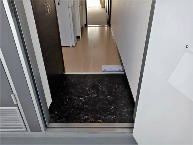 レオネクストカサミラの玄関