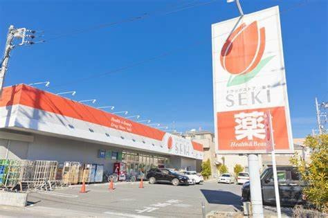 レオネクストカサミラの周辺