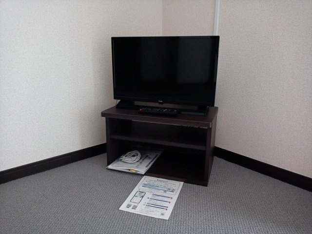 レオネクストカサミラのその他