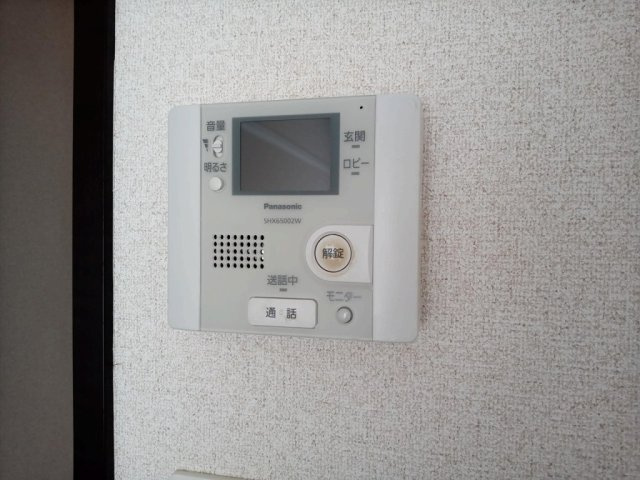 レオネクストカサミラのその他