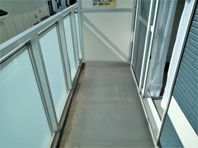 レオネクストカサミラのその他