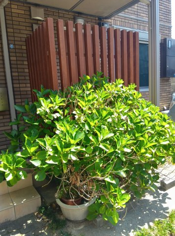 マローネ本山　のその他共用部分