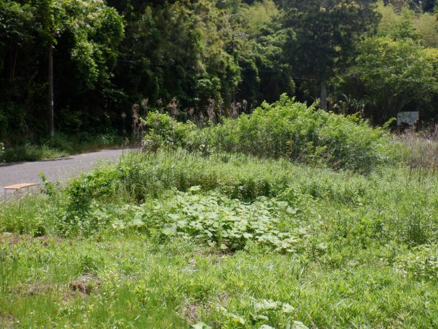 出野尾土地の外観