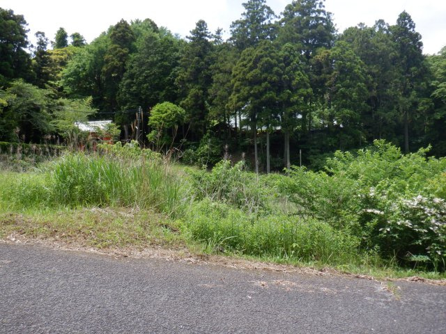 出野尾土地