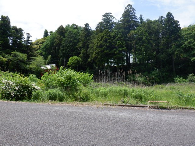 出野尾土地の外観